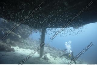 Photo Reference of Shipwreck Sudan Undersea 0035